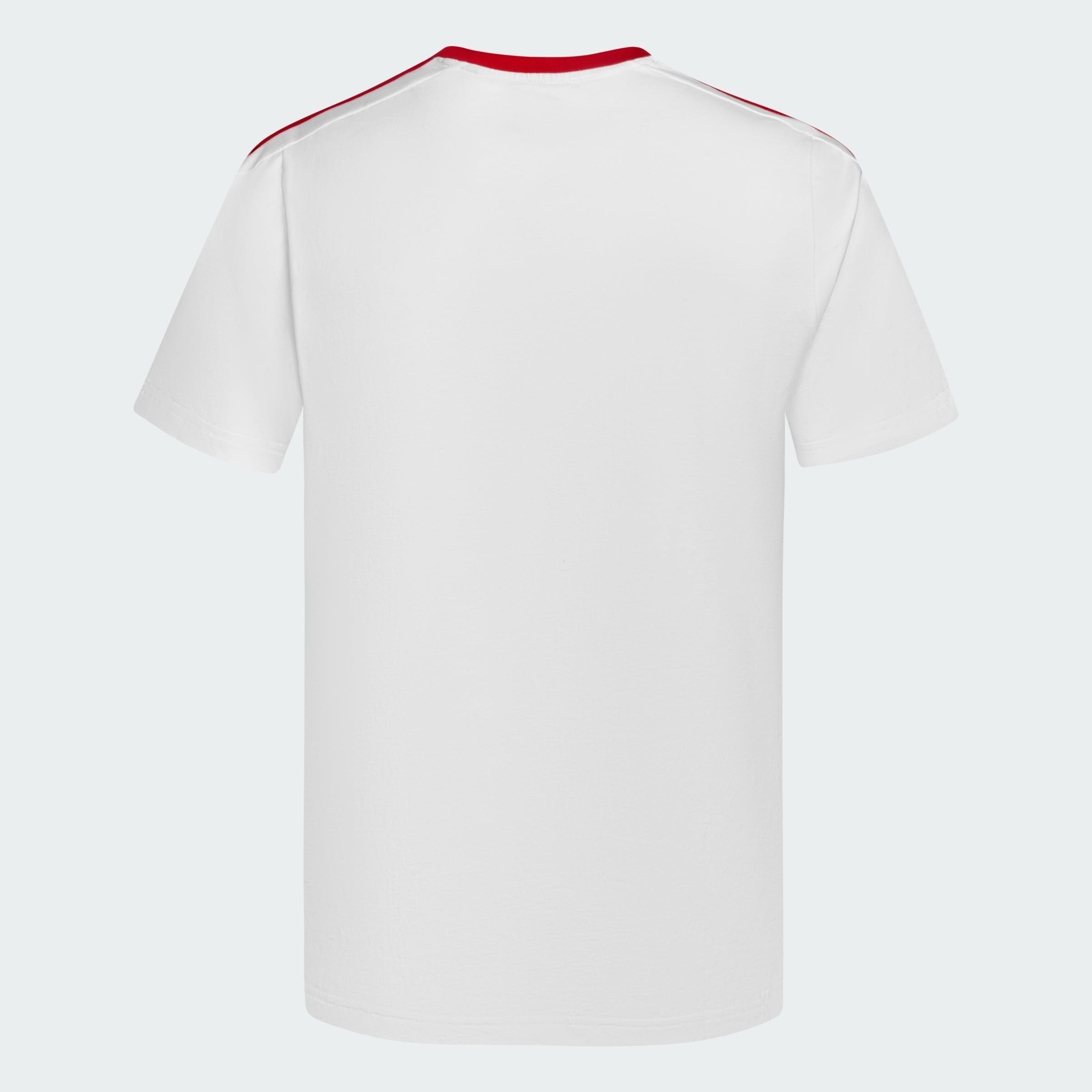 Remera River Plate ADN 24/25 adidas Hombre — imagen 3