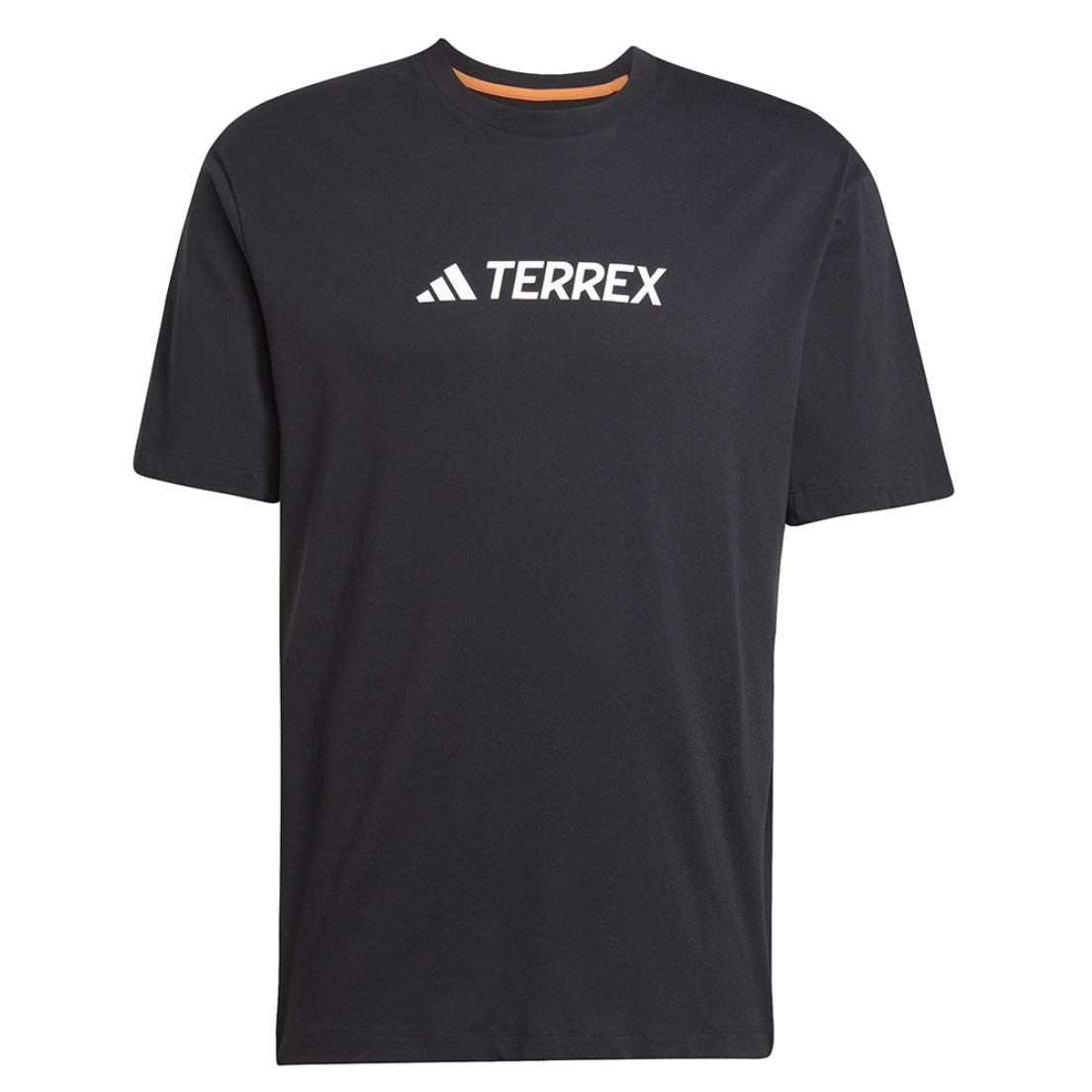 Remera adidas Terrex Classic Logo De Hombre