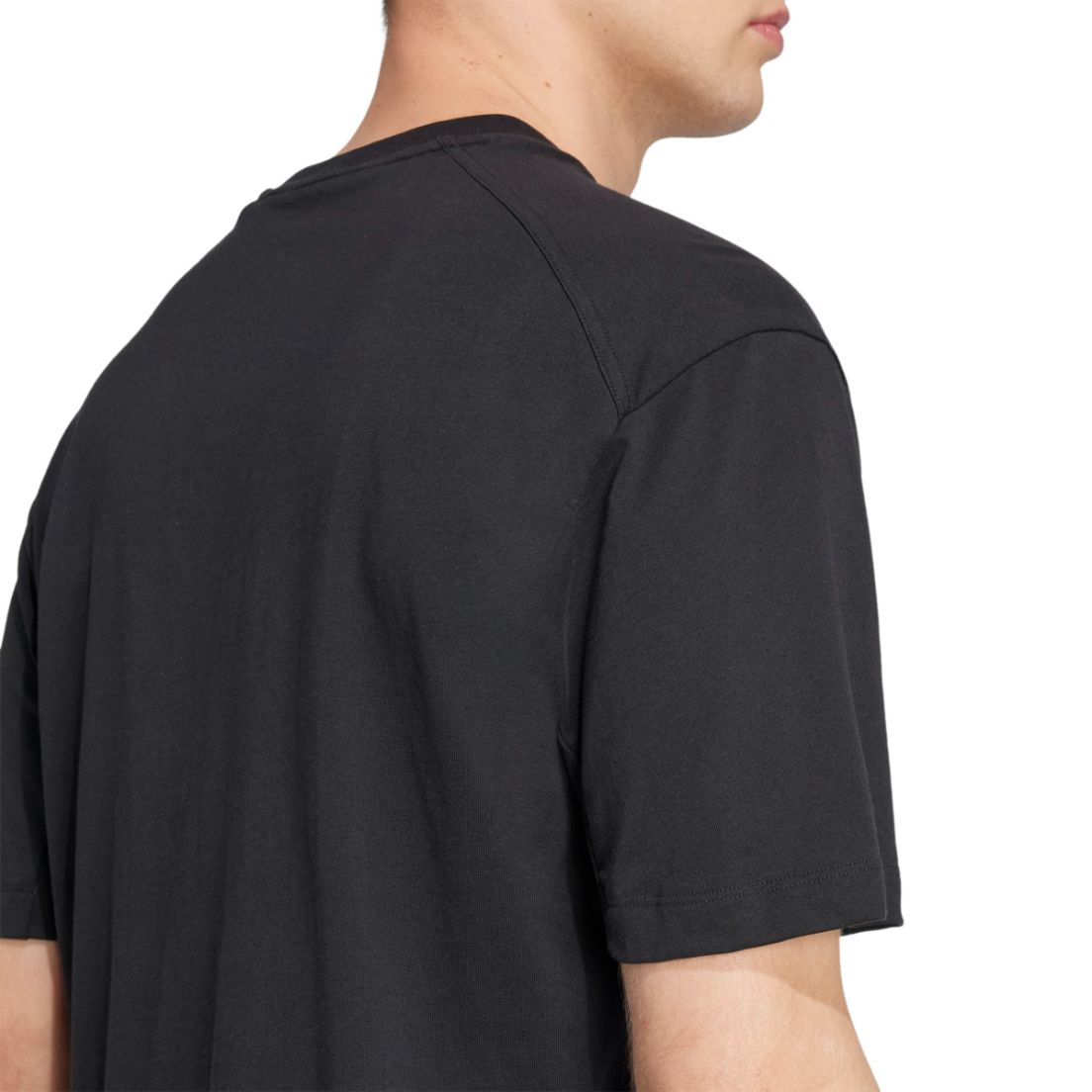 Remera adidas Terrex Classic Logo De Hombre — imagen 5