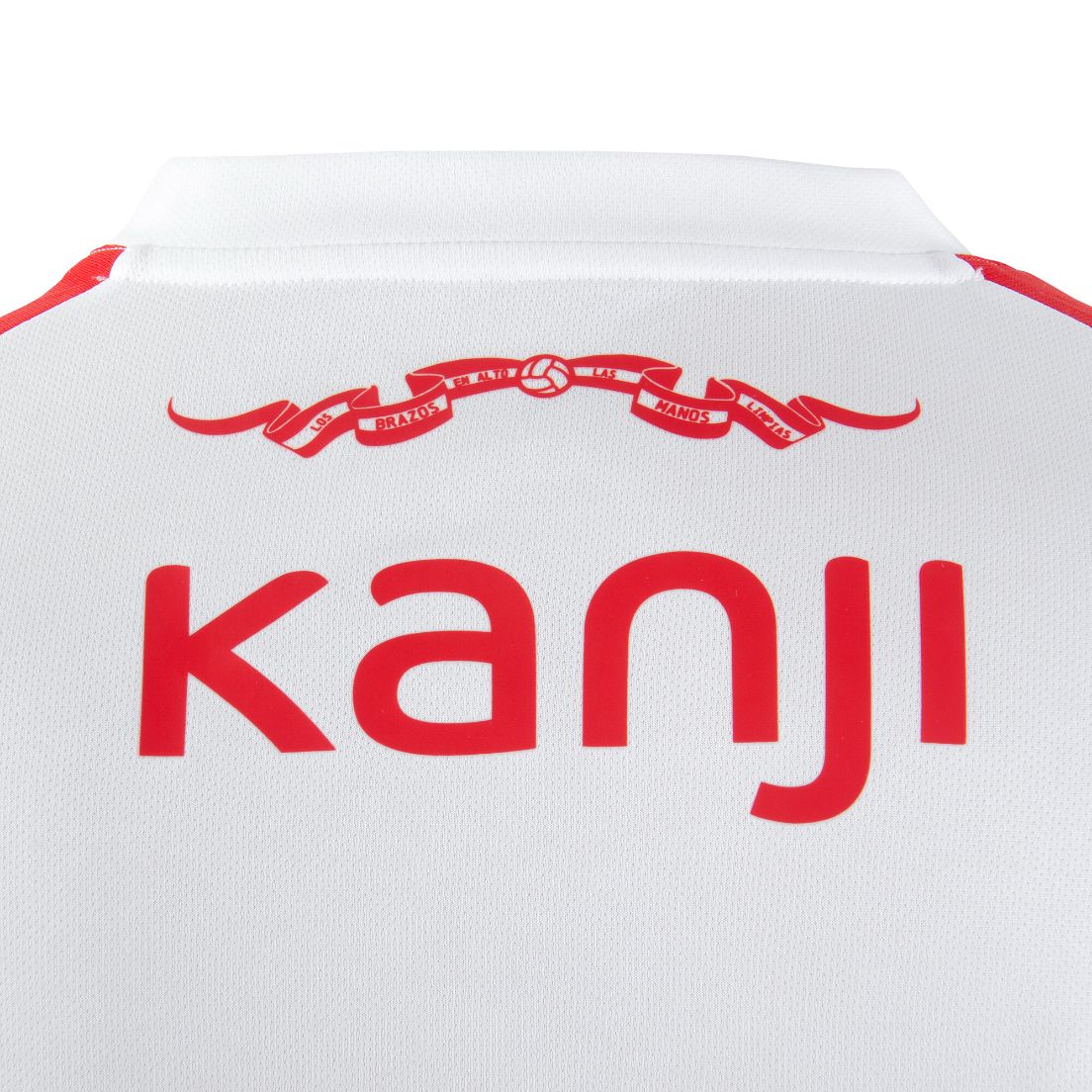 Camiseta Puma Independiente Alternativa 1 25/26 De Hombre — imagen 2