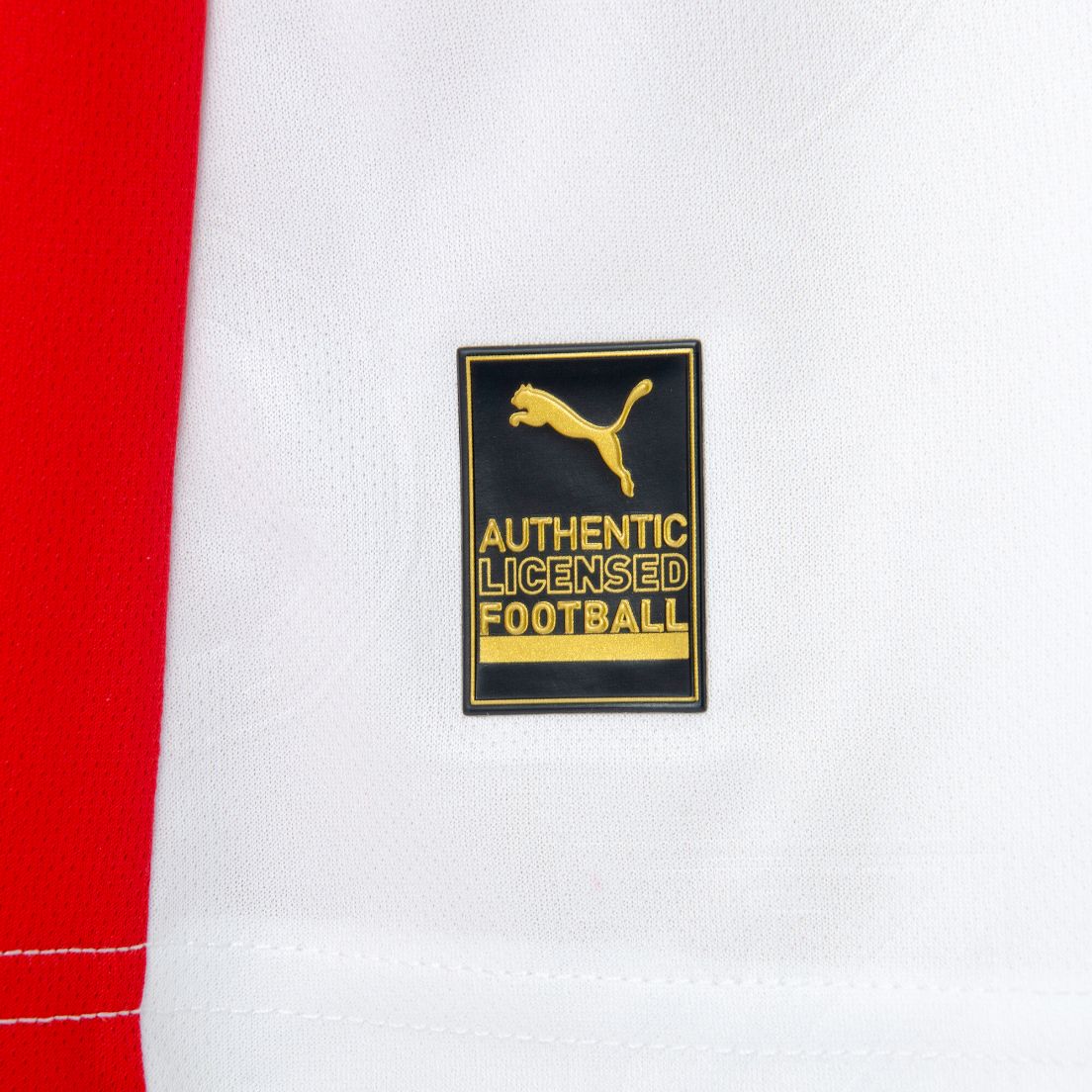 Camiseta Puma Independiente Alternativa 1 25/26 De Hombre — imagen 5