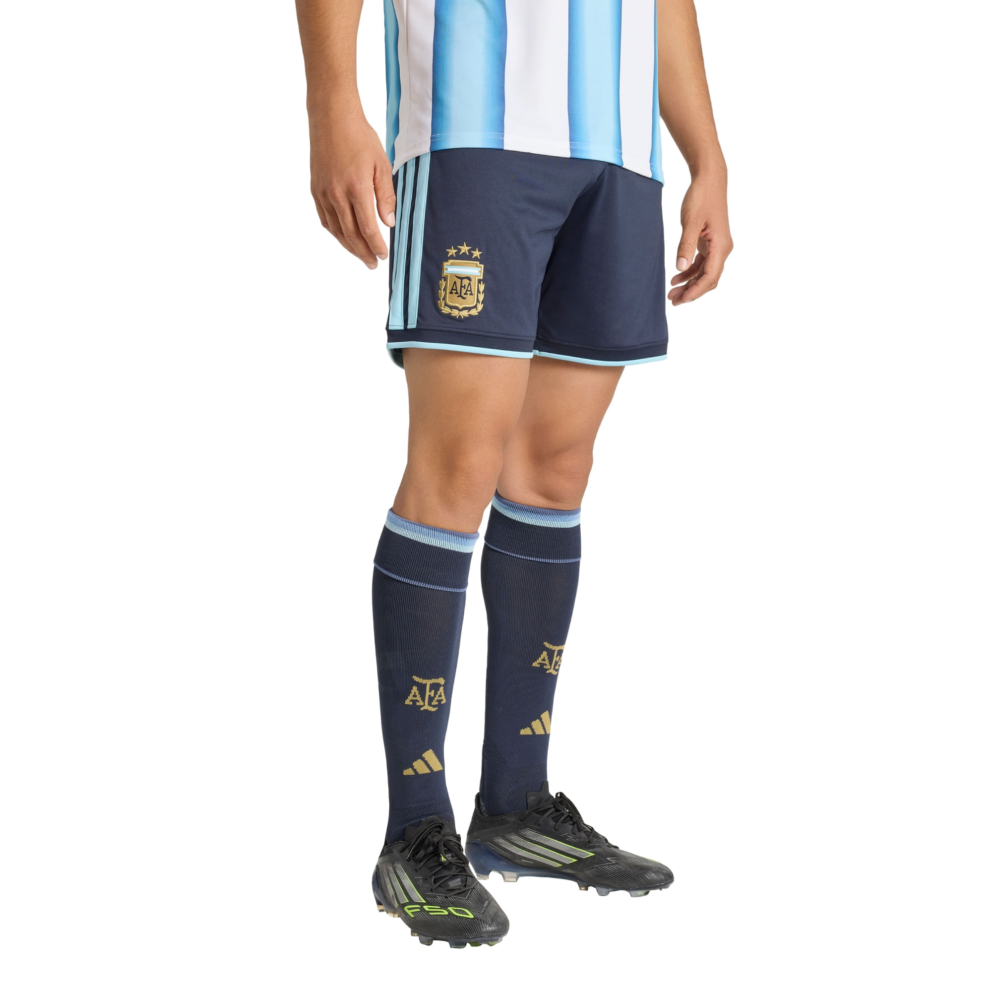 Shorts adidas Titular de la Selección Argentina 26 Hombre — imagen 2