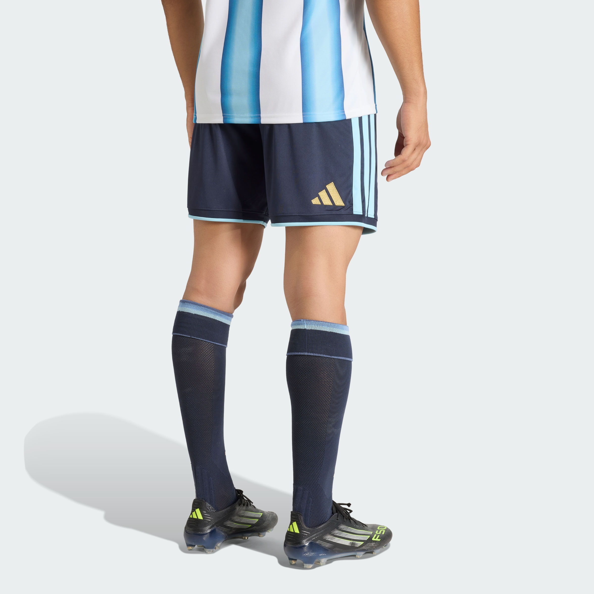 Shorts adidas Titular de la Selección Argentina 26 Hombre — imagen 3