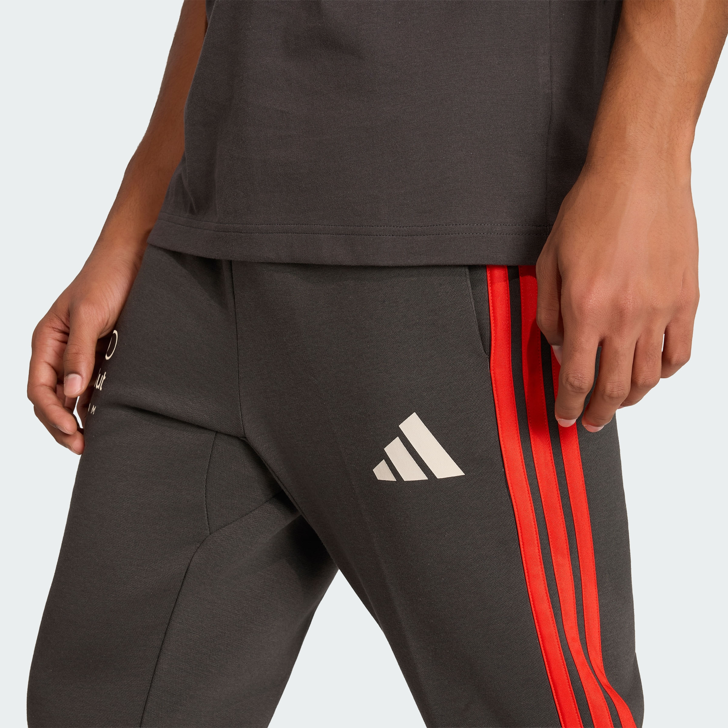 Pantalón adidas DNA AUDI F1 TEAM Hombre — imagen 6
