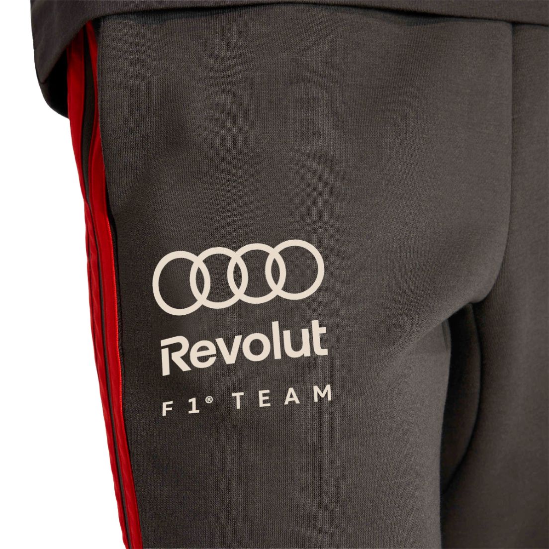 Pantalón adidas Audi Revolut F1 De Hombre — imagen 5