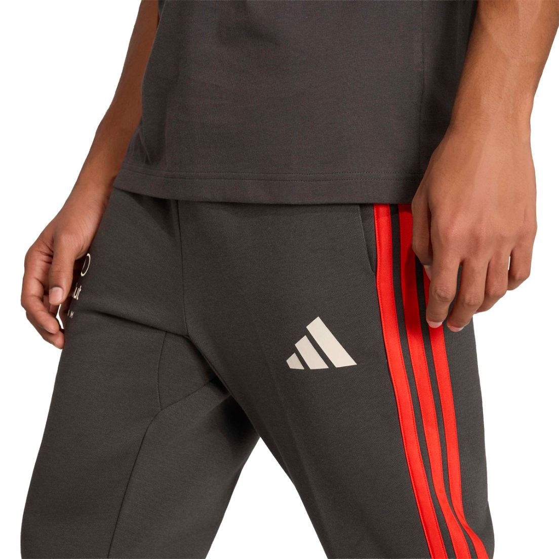 Pantalón adidas Audi Revolut F1 De Hombre — imagen 6