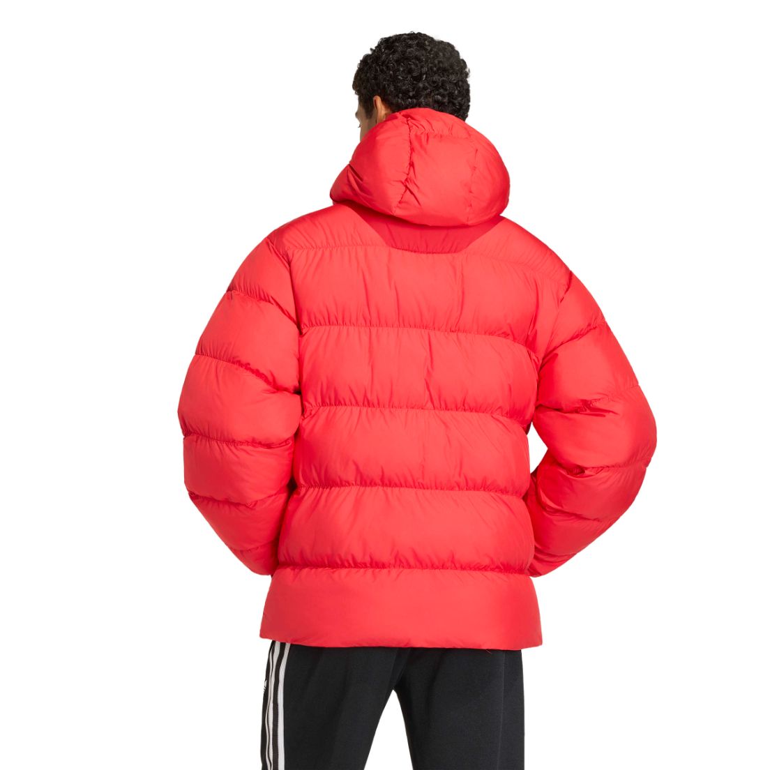 Campera adidas River Plate De Hombre — imagen 3