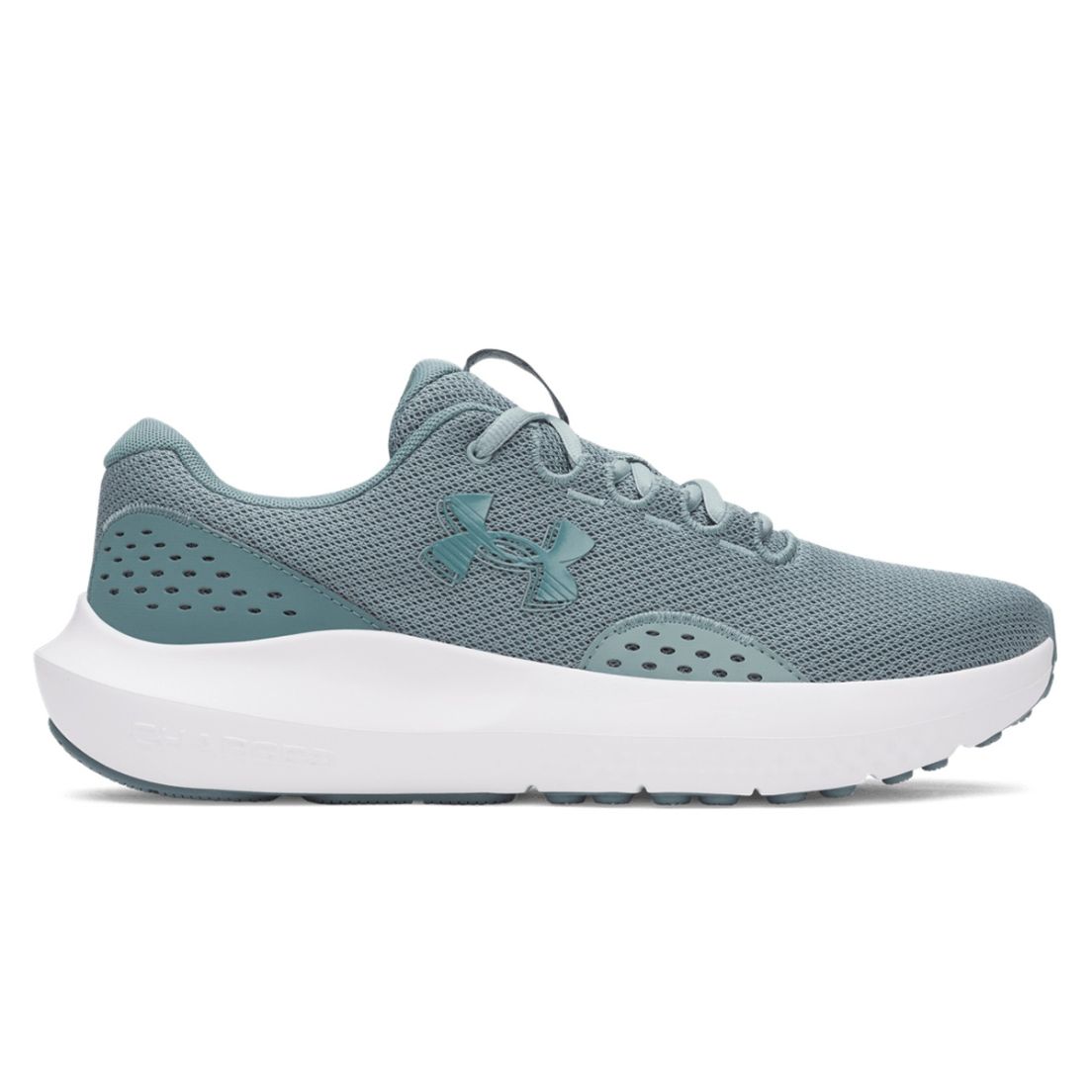 Zapatillas Under Armour Charged Surge 4 De Hombre