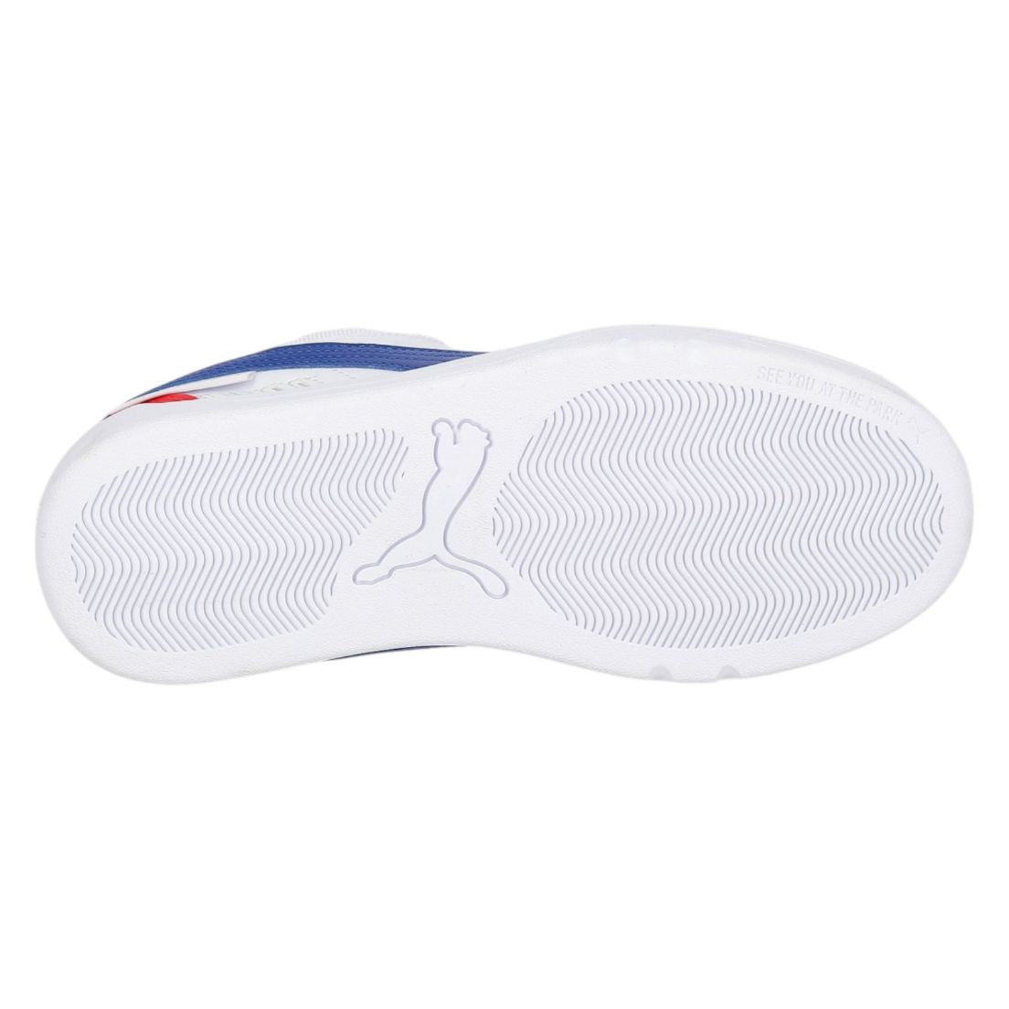 Zapatillas Puma BMW M Motorsport Park Sk8 De Hombre