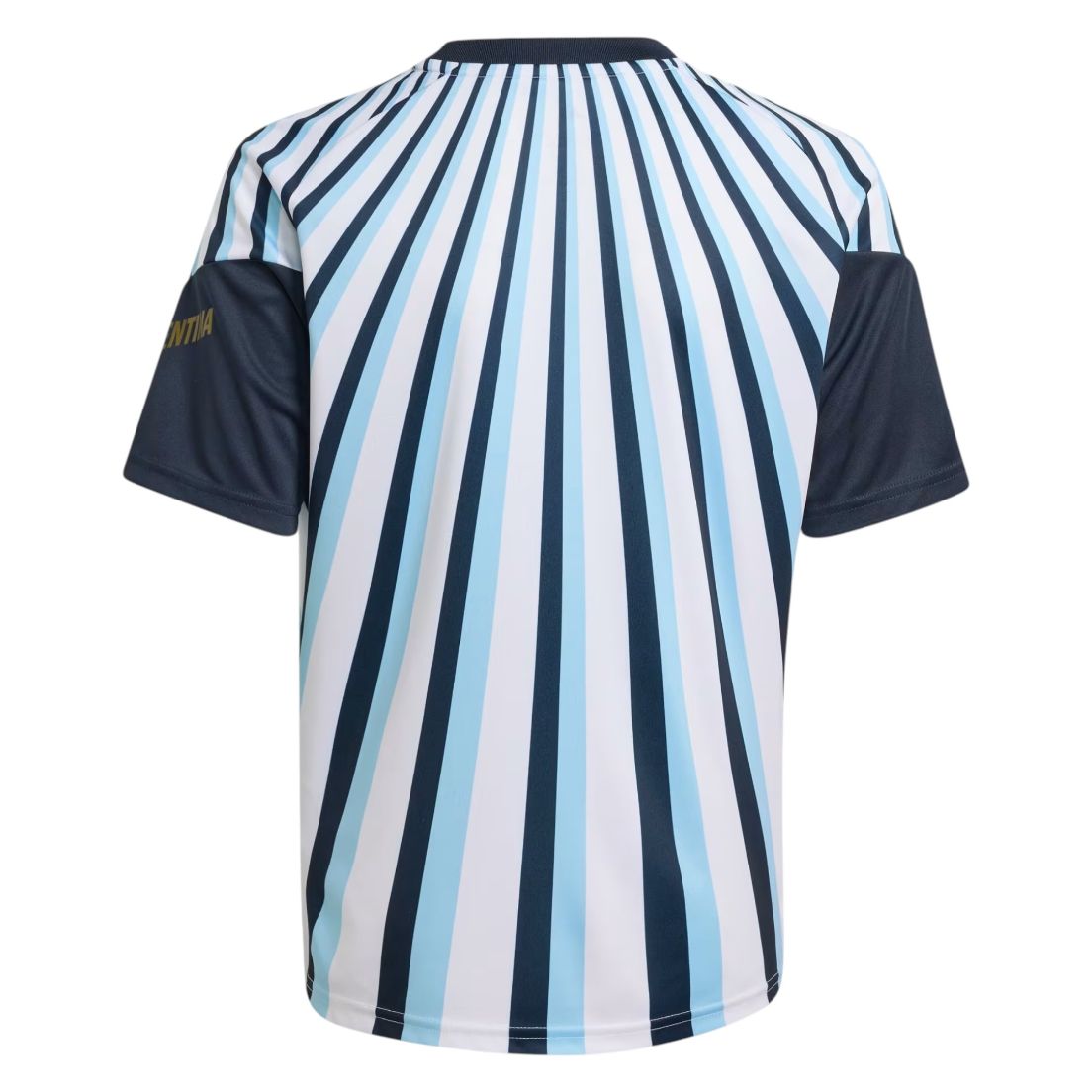 Camiseta adidas Pre Match Selección Argentina 26 De Niños — imagen 2