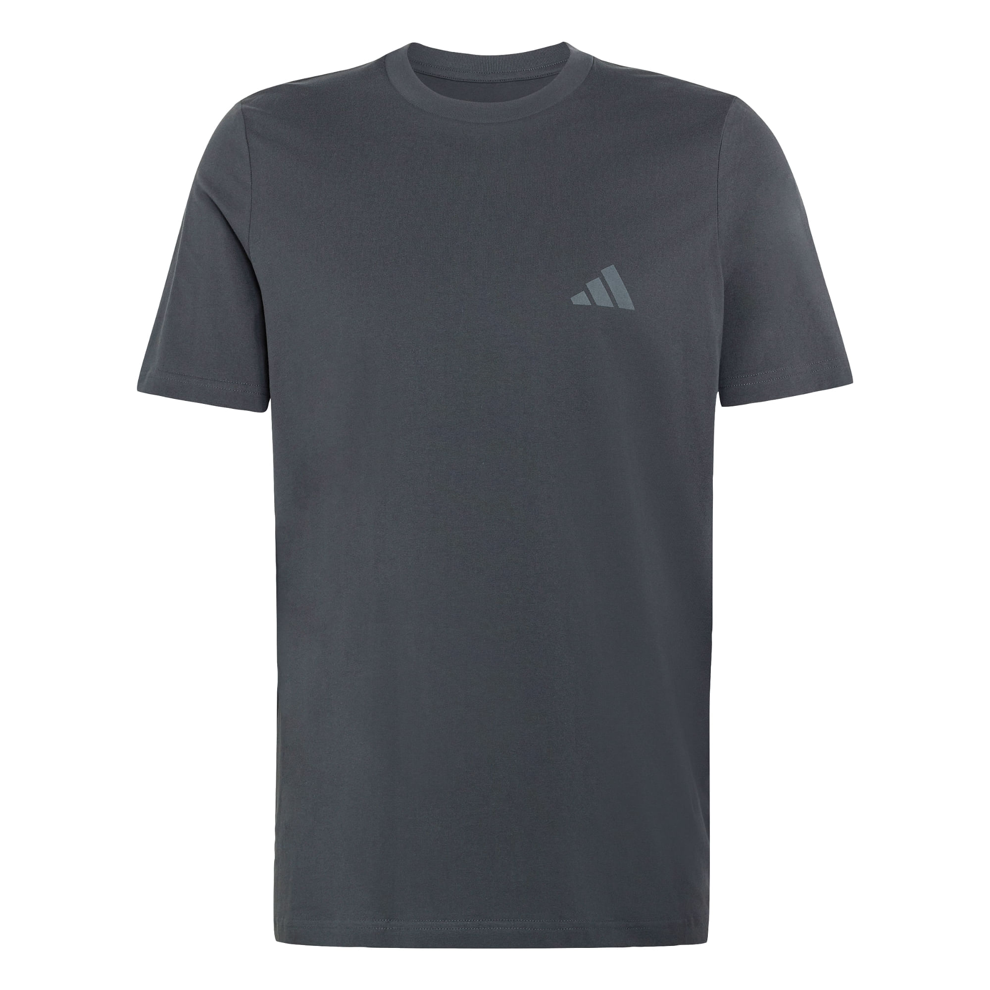 Remera estampadas adidas Camiseta Graphic Terrex Mountain Hombre
