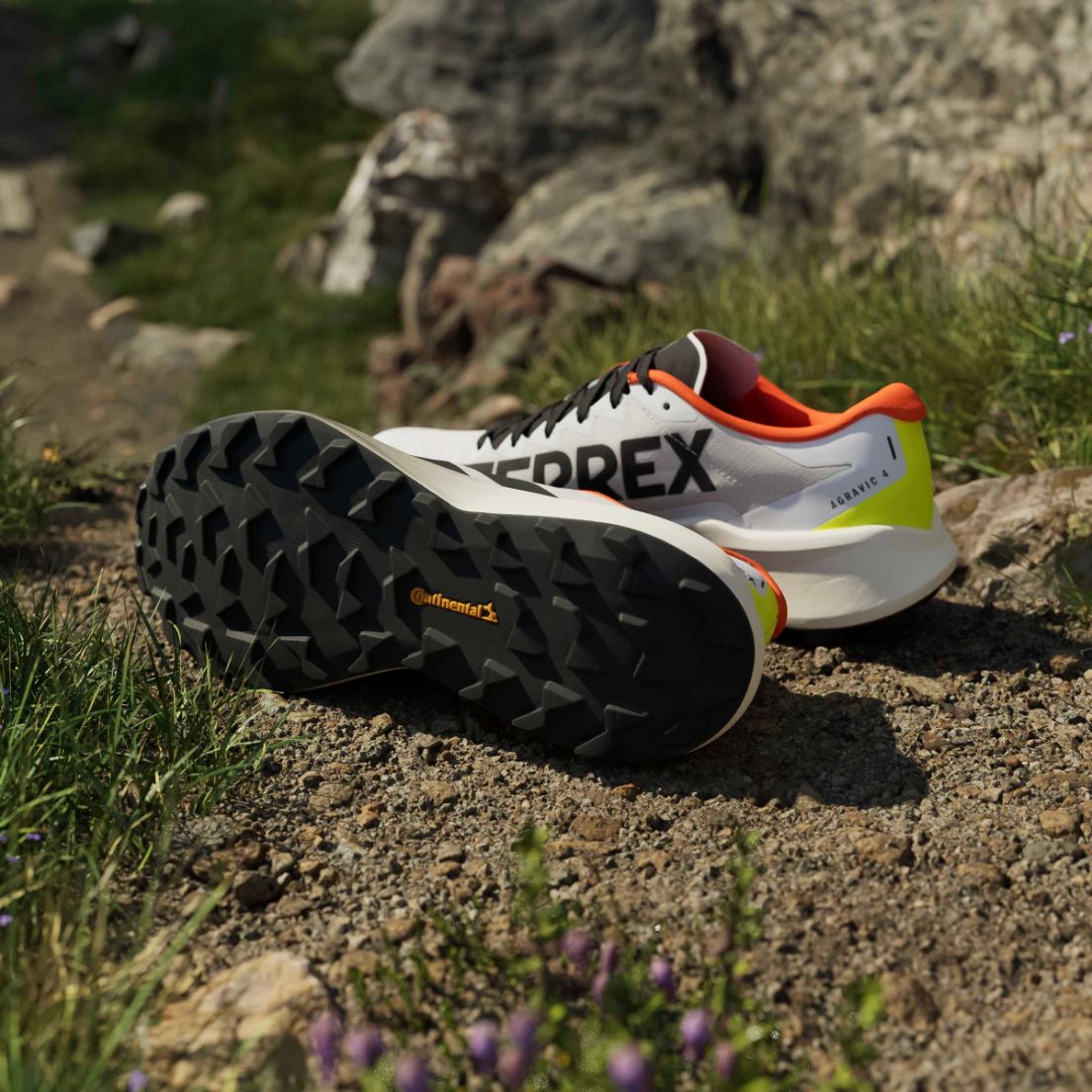 Zapatillas adidas Terrex Agravic 4 De Hombre — imagen 10